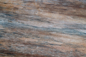 Old grunge dark textured wooden background.