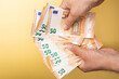 © vegefox.com - concept euro banknote in hand
