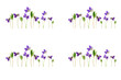 Flowers of wild violets on a white background.