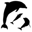 Delfin Silhouetten