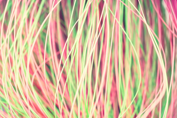 Fototapete - Colored thin wavy threads abstract texture background