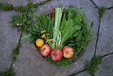 Fototapeta Kuchnia - warzywa na tacy,  zdrowe nowalijki, zielony sok, mlecz, dieta, zdrowie, kwiat,