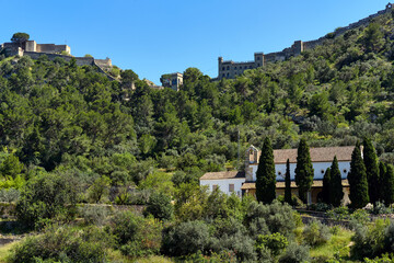 Wall Mural - Ancient Xativa castle on hilltop. Spain