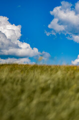 abstract background of green grass and white cloud on blue sky