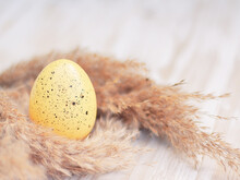 A Yellow Speckled Egg Surrounded By Fluffy Grass On A White Wooden Background. Easter Background.