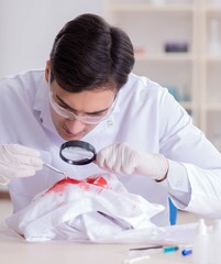 Wall Mural - Expert criminologist working in the lab for evidence