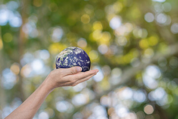Canvas Print - globe, earth in human hands over green nature background. idea for save the world. elements of this 