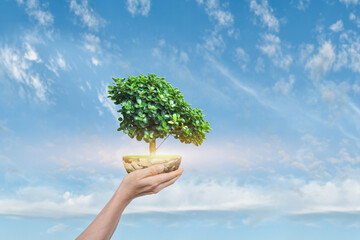 Canvas Print - saving earth concept. human hand holding globe with a tree over blue sky background. elements of thi