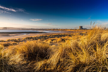 Poster - Seaside in the Teesside