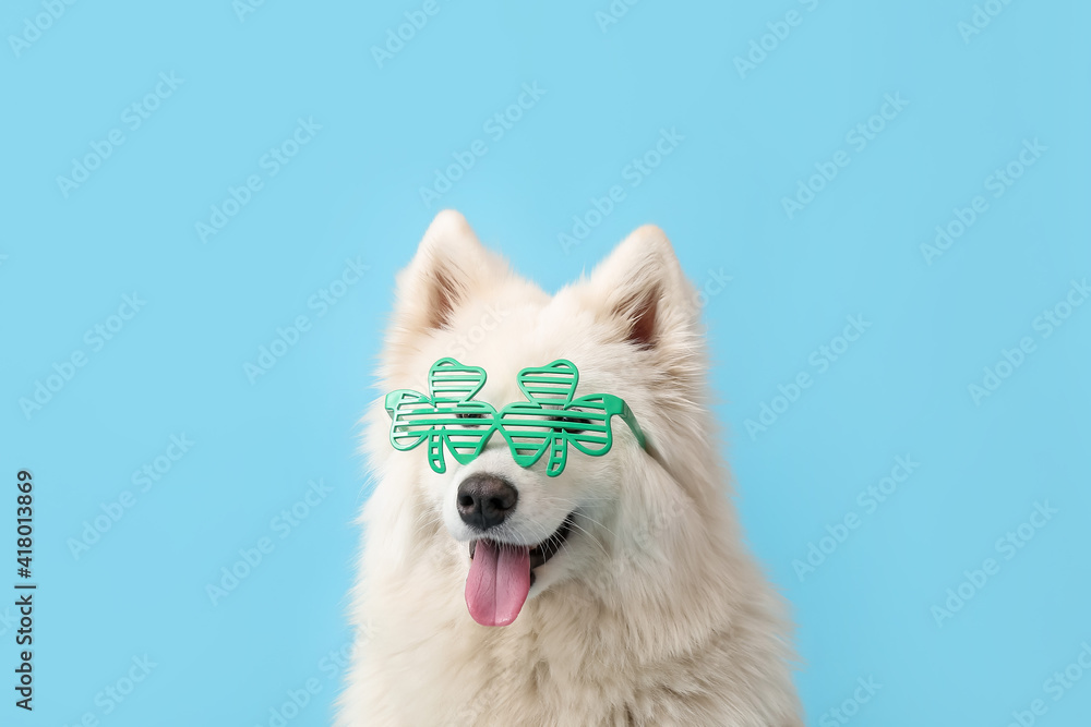 Cute dog with party glasses on color background. St. Patrick's Day celebration