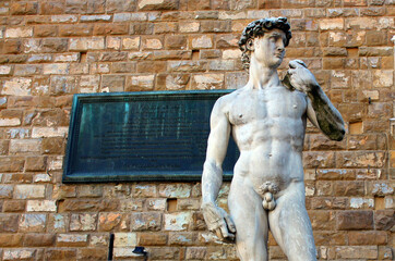 Wall Mural - Renaissance sculptures in the Italian city of Florence. The statue of David by Michelangelo.