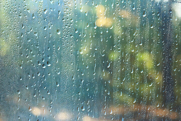 Wall Mural - spring day in the park / view of the spring landscape in the park through the window, raindrops on t