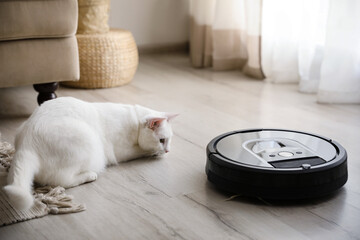 Canvas Print - Modern robotic vacuum cleaner and cute cat on floor indoors