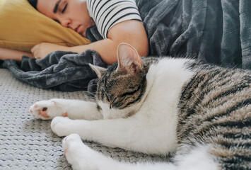 Sticker - Young Caucasian woman sleeping on a couch with a fluffy cute cat under a warm blanket