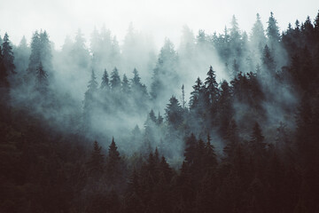 misty mountain landscape
