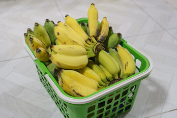 Hand of bananas with twin bananas in a green plastic basket.