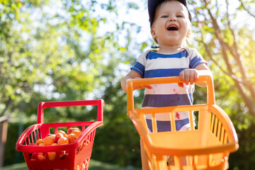 Portrait of small caucasian cute blond toddler boy holding toy shopping cart full of sweet ripe apricots against green tree and lawn in garden. Little happy child enjoy summer fruit harvest time