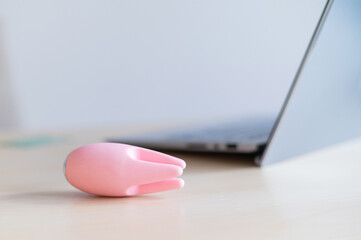 A laptop and a clitoral pink vibrator. The girl has online sex.