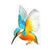 Hand drawn watercolor colorful illustration of blue and orange alcedo isolated on white background.
