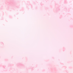 Sakura petals falling down. Romantic pink flowers falling rain. Flying petals on pink square backgro