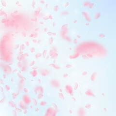 Sakura petals falling down. Romantic pink flowers gradient. Flying petals on blue sky square backgro