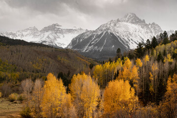 Wall Mural - USA, Colorado, San Juan Mountains. Storm over mountain and forest.