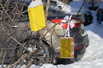 A decorative wooden box and a plastic box are suspended from the branches of a shrub on a sunny winter day