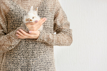 Wall Mural - Woman with cute rabbit on light background