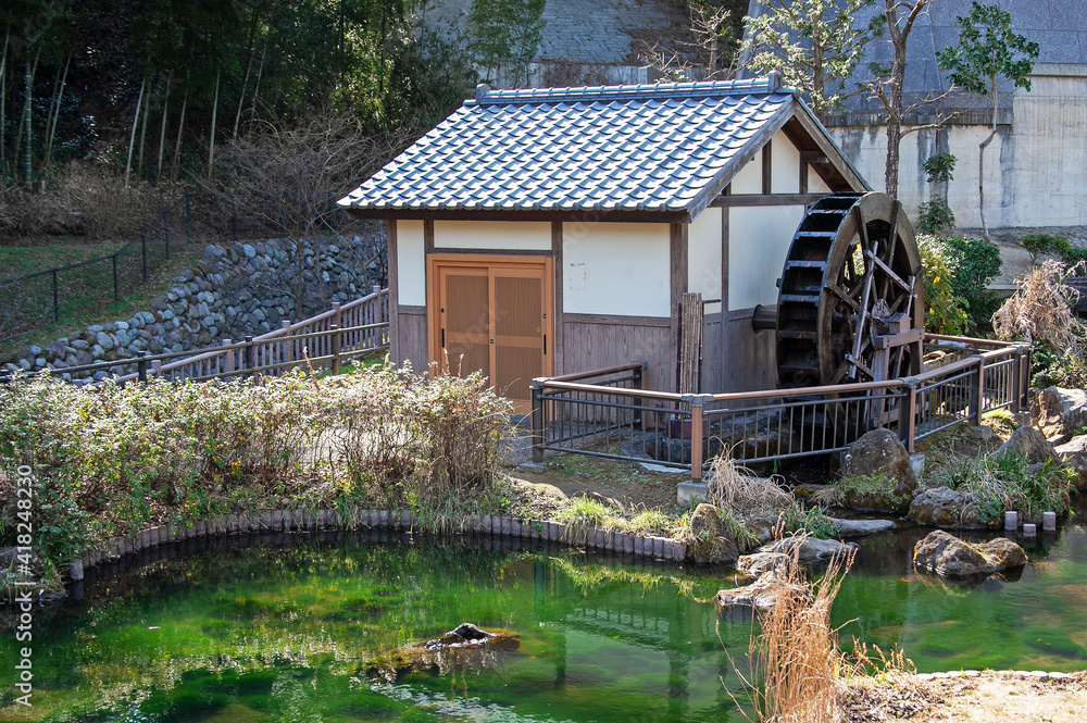 水車小屋 稲城市｜上谷戸（かさやと）親水公園の水車小屋の池コケの緑