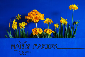 English Calligraphy Happy Easter. Yellow Beautiful Spring Flowers Like Narcissus. Blue Wooden Background