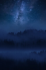 Wall Mural - fog in forest and milky way in sky