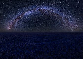 Wall Mural - wheat field and milky way