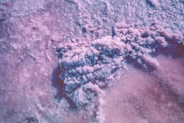 Fototapete - Abstract texture of the Dead sea salty shore. Salt crystals nature background in blue-purple color