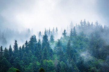 misty mountain landscape