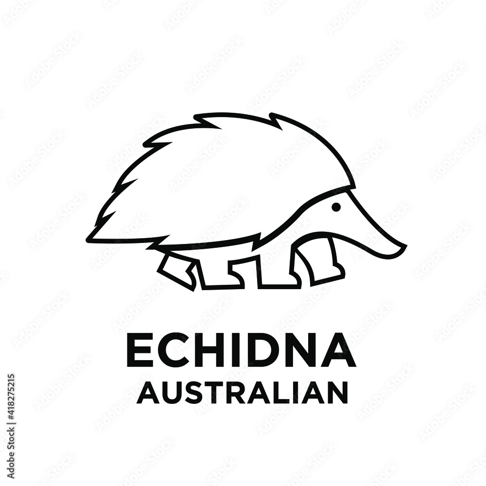 australian echidna vector black line logo icon illustration design ...