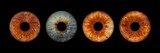 Fototapeta  - Close up of eye iris on black background, macro, photography