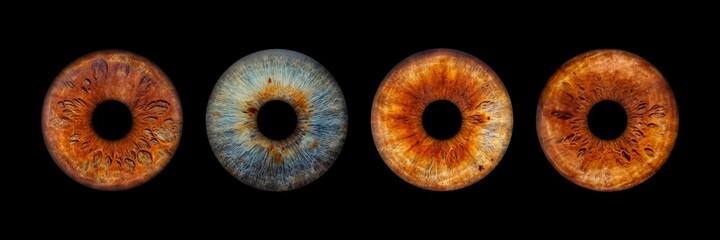 close up of eye iris on black background, macro, photography