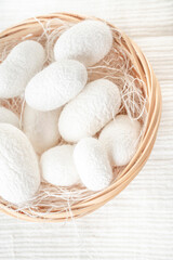 Wall Mural - white silkworm cocoons shells, source of silk fabric