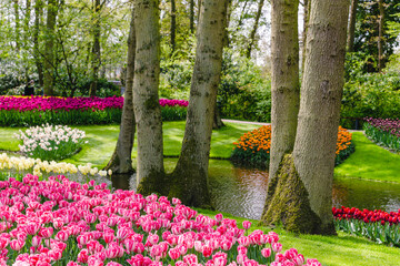 Blooming flowers in Spring Formal Garden.