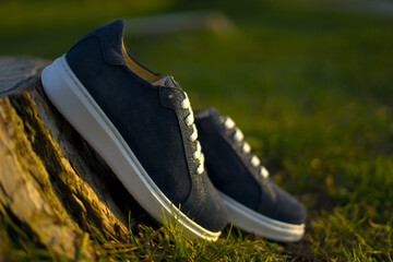 Wall Mural - Stylish blue sports shoes with background in the park