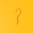 One single yellow key on flat bright yellow background. Minimalism concept. 3d render illustration