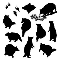 Wall Mural - raccoon (procyon lotor) black and white vector silhouette set - standing, walking, crawling animal w
