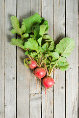 Sticker - Radishes