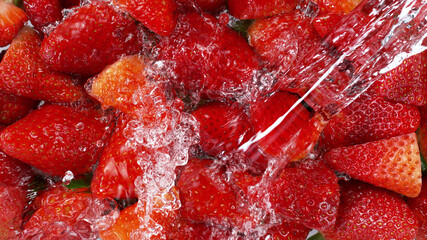 Wall Mural - Top view of strawberries with water splashes