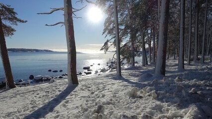 Wall Mural - The sun shines on the snowy bay on a winter morning