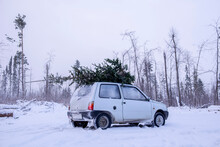 Parked Car With Christmas Tree On Roof In Snow Covered Landscape