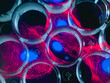 © Connect Images - Stem cell research, multi well plate with screen image of stem cells in the background