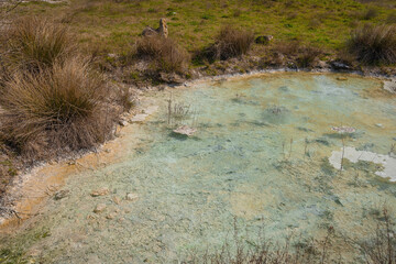 Pools with thermal water Bulicame in Lazio, Italy