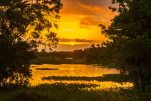 USA, Florida, Orlando Wetlands Park. Sunrise On Lake And Forest.