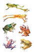 watercolor hand drawn set of frogs